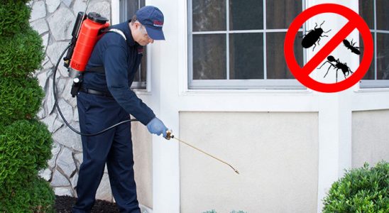 Gümüşhane Böcek ve Haşere İlaçlama böcek ilaçlama ve haşere kontrolü — ilaclama-tr.com